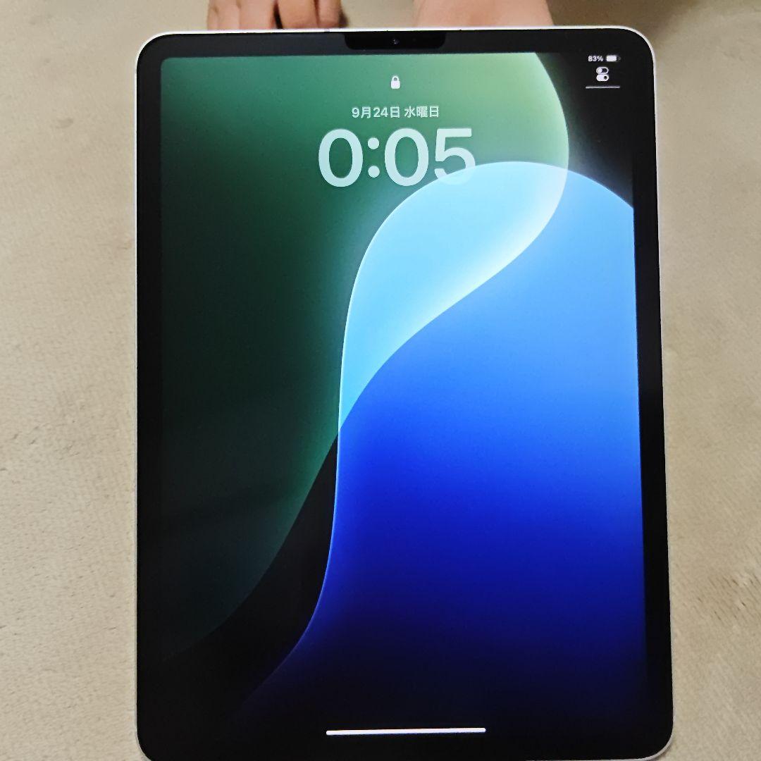 iPad Pro11 第1世代 Cellular 1024GB シルバー