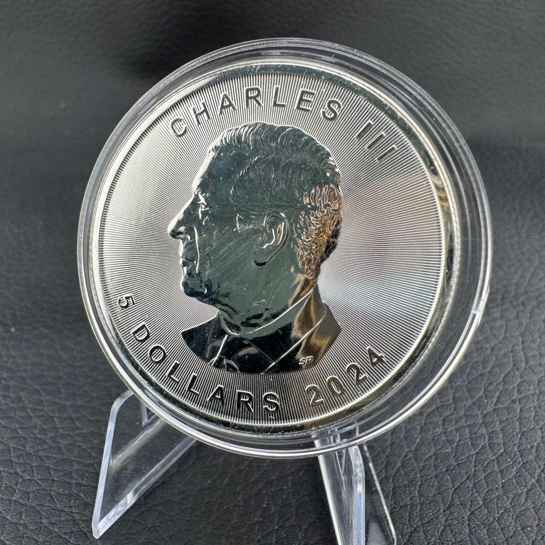 世界100枚限定！ メイプルリーフ 銀貨 カラー スズメバチ 森の自然融和