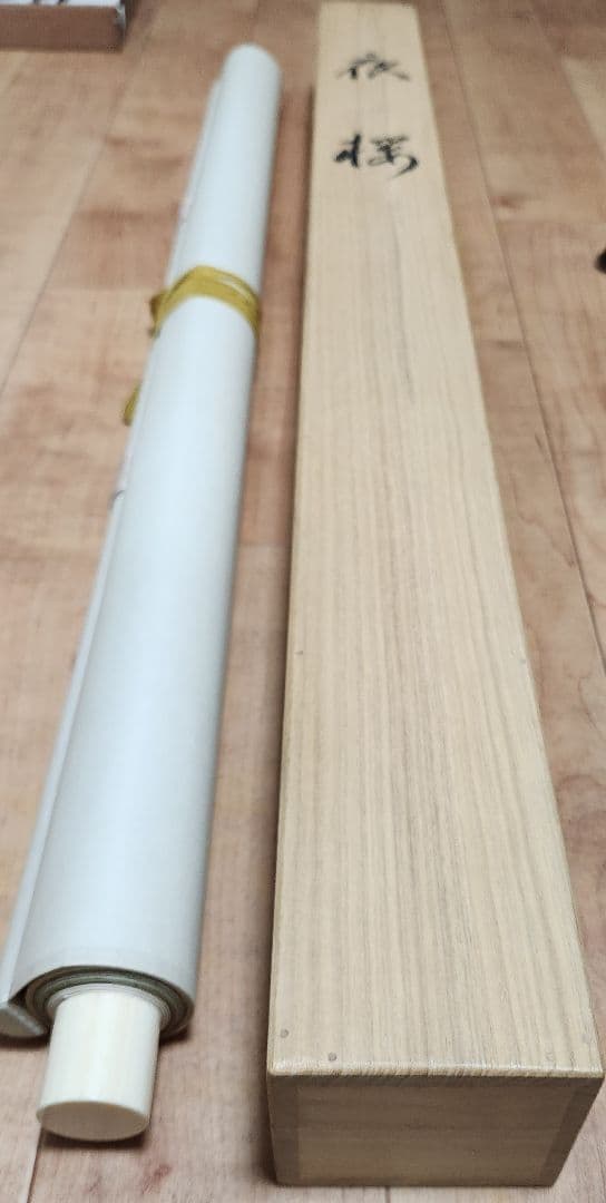 【夜桜図】智 2613 花見 月 共箱　掛け軸　肉筆