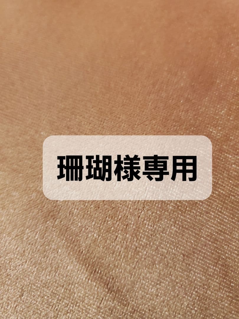 11/1 珊瑚　2個セット