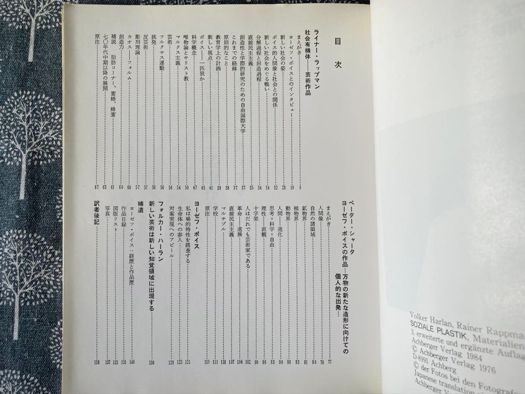 ヨーゼフ・ボイスの社会彫刻