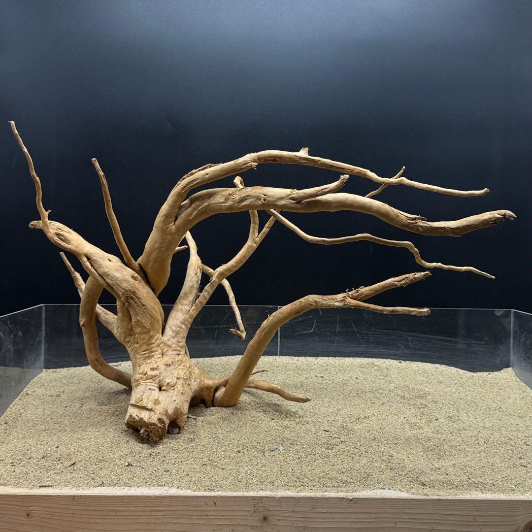 MDW-6989 特大ブランチウッド　流木　枝流木　アクアリウム