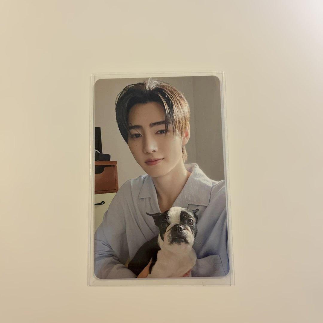 ENHYPEN ソンフン　アンケートトレカ 2025