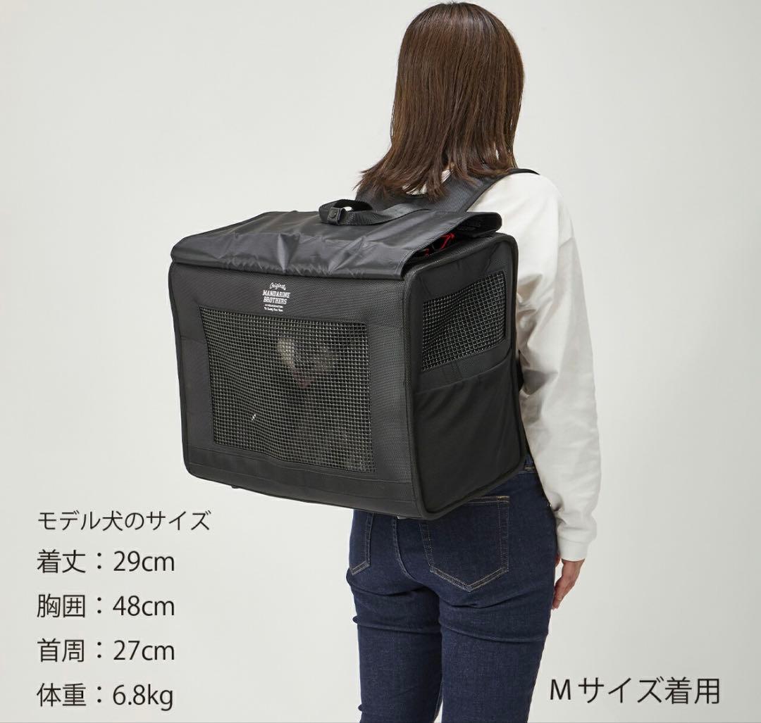 ブリクストンキャリーバックパック ワイド ※リニューアル　ブラウン　L