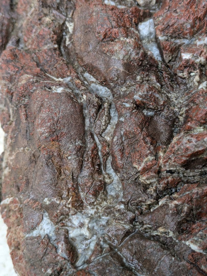 赤石 原石 特大29kg 龍顔 未加工品 多数の石英流れ 希少、レア品