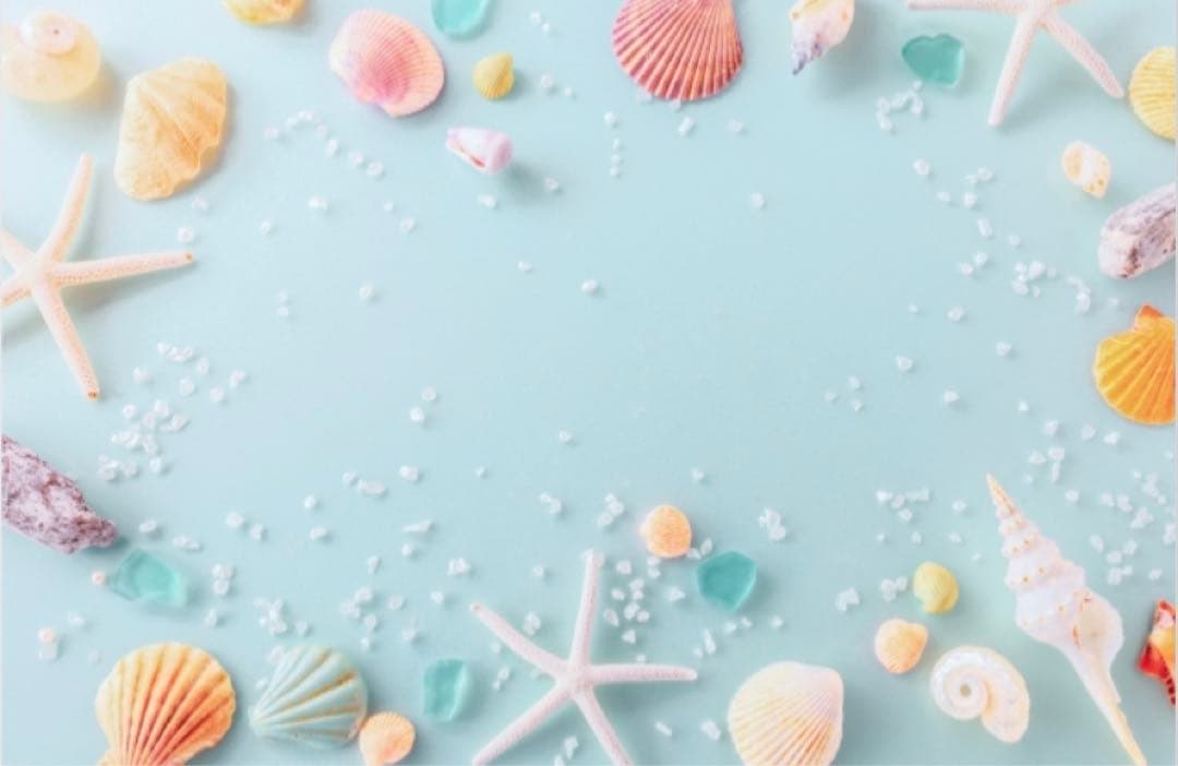 M1207.SHINE手帳 秘术师 マスキングテープ PET