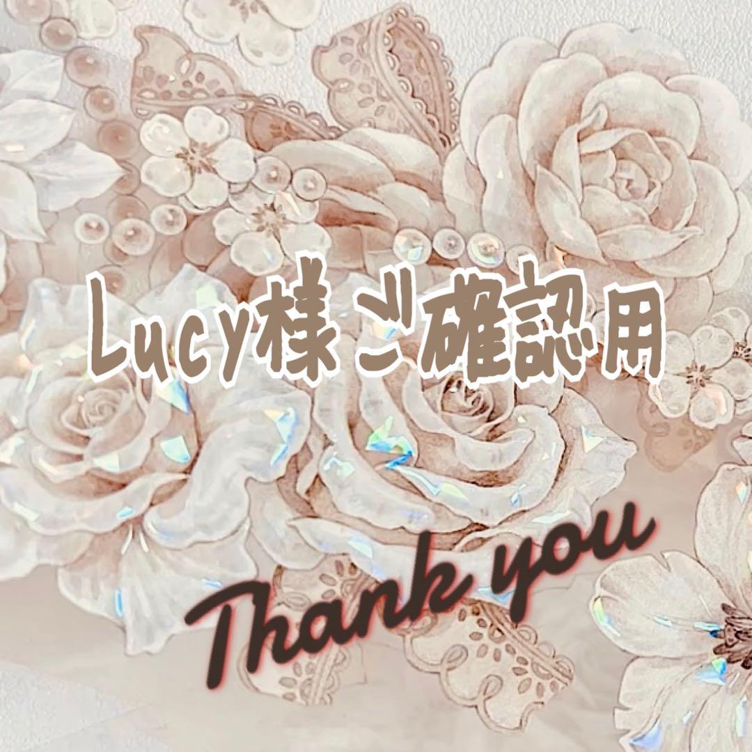 【ゆうゆう⇄らくらくメルカリ便】Lucy様ご確認用