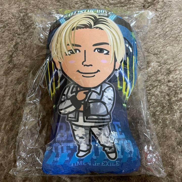 加納嘉将 BOT クッション