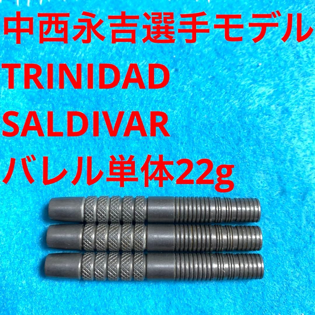 中西永吉TRINIDADトリニダードSALDIVARサルディバル定価11000円