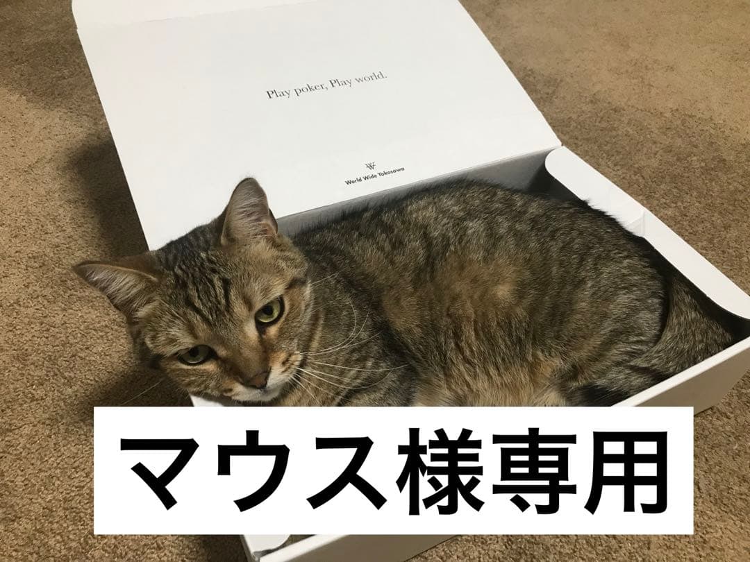 マウス商品