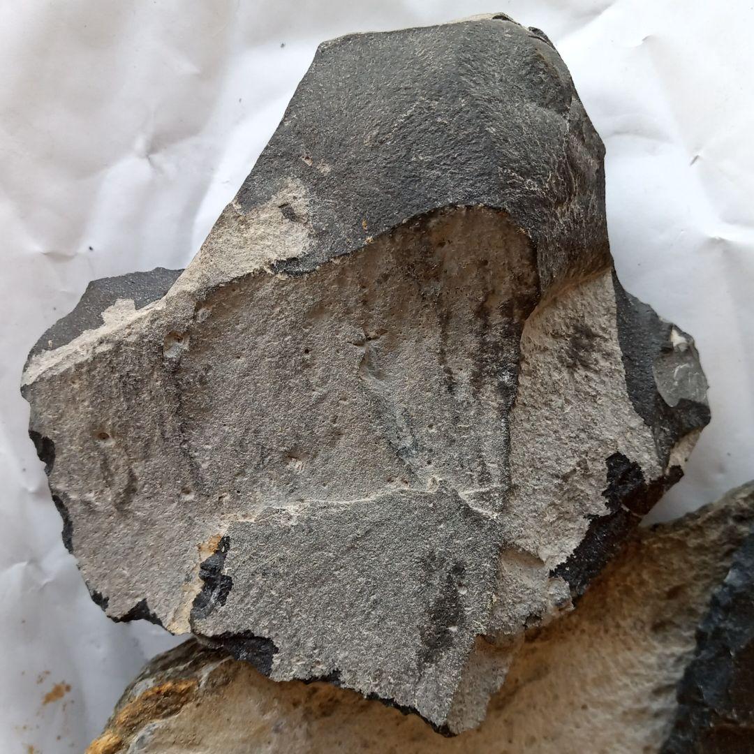 握り斧　石斧　尖頭器セット　剥片 石器　入門編　　191