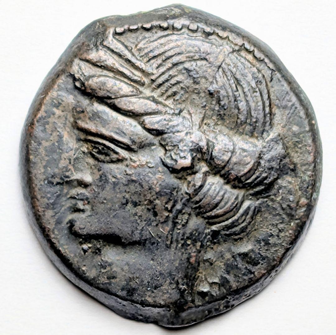 TKC129 カルタゴのタニトと馬