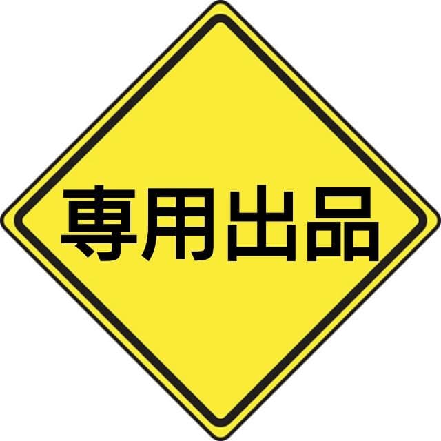 ホビーラジコン RS