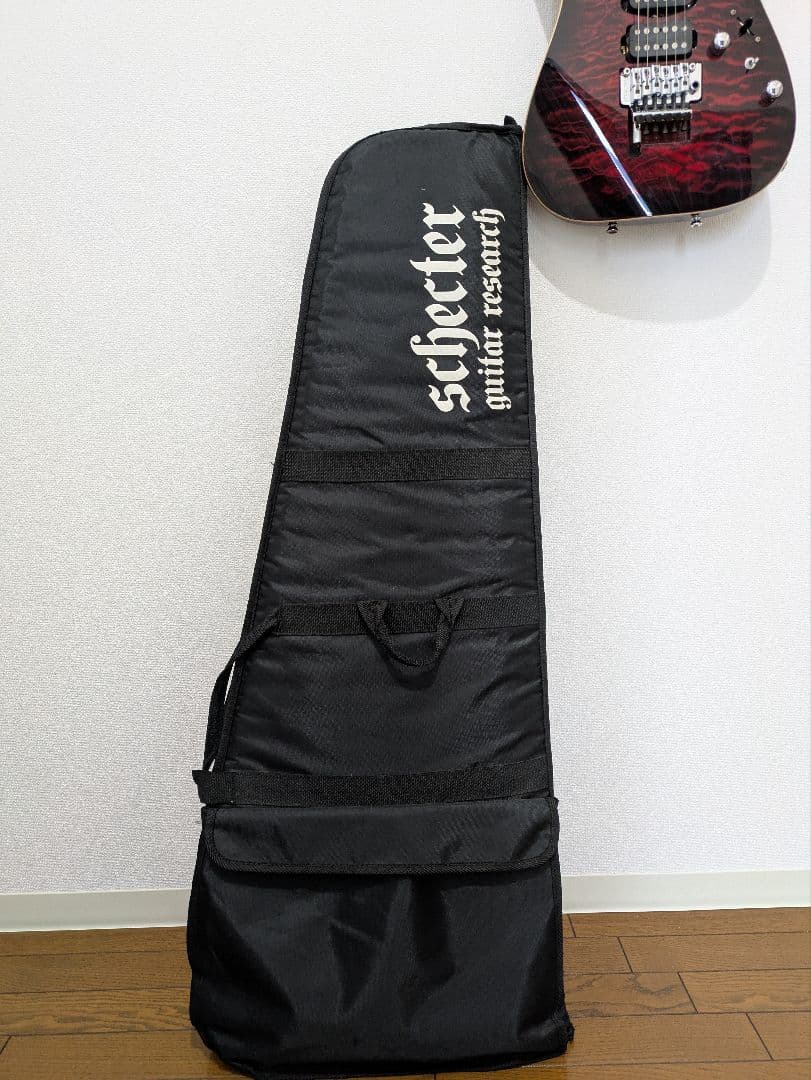 [美品] SCHECTER NV-DX-24-AS　D-tunaつき