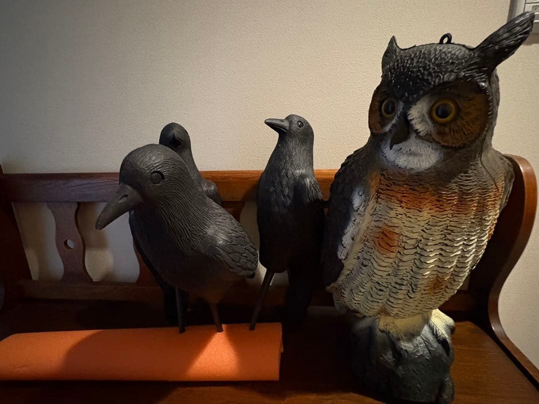 フクロウ・カラス(3)デコイセット