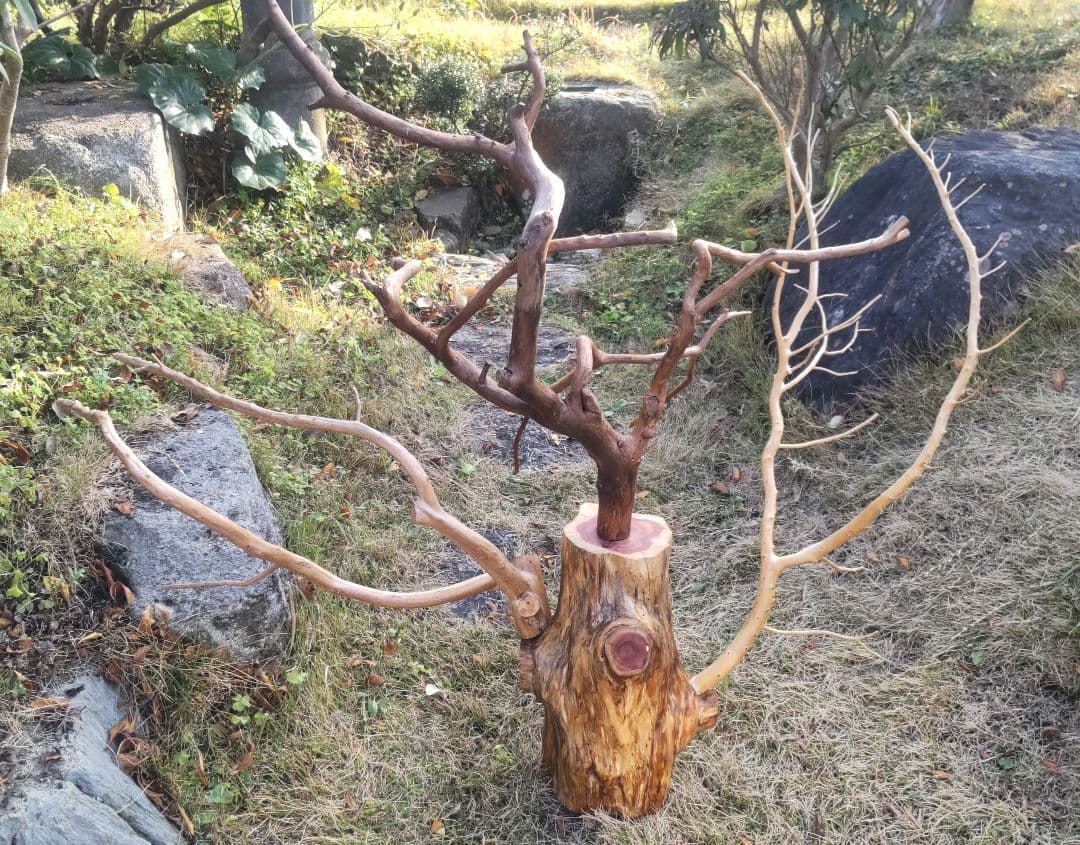 バードアスレチック　鳥用止まり木