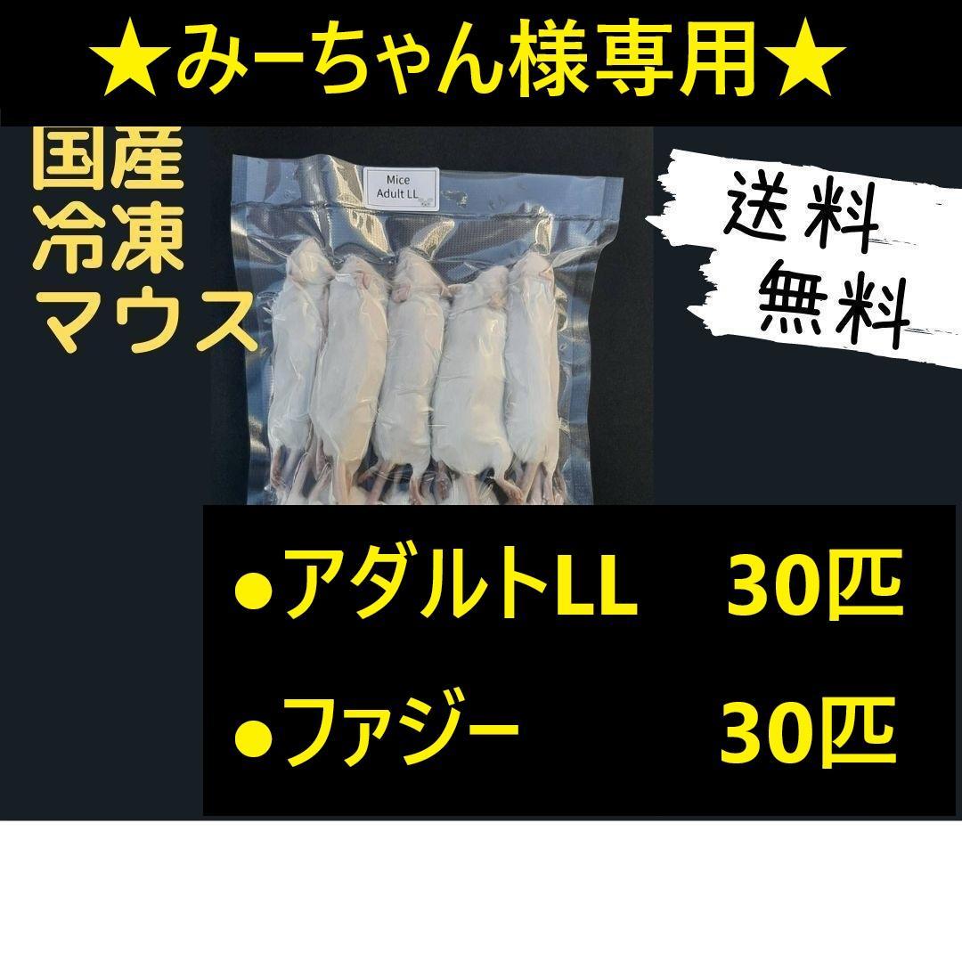 ★みーちゃん★国産冷凍マウス ファジー 30匹 アダルトLL30匹