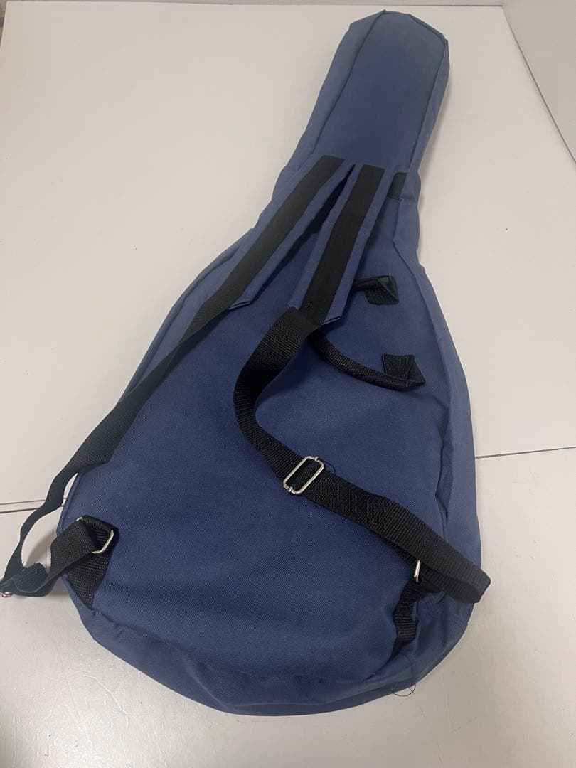 激レア 希少 フォトジェニックストラスキャスター HSH 初期型 ケース付き