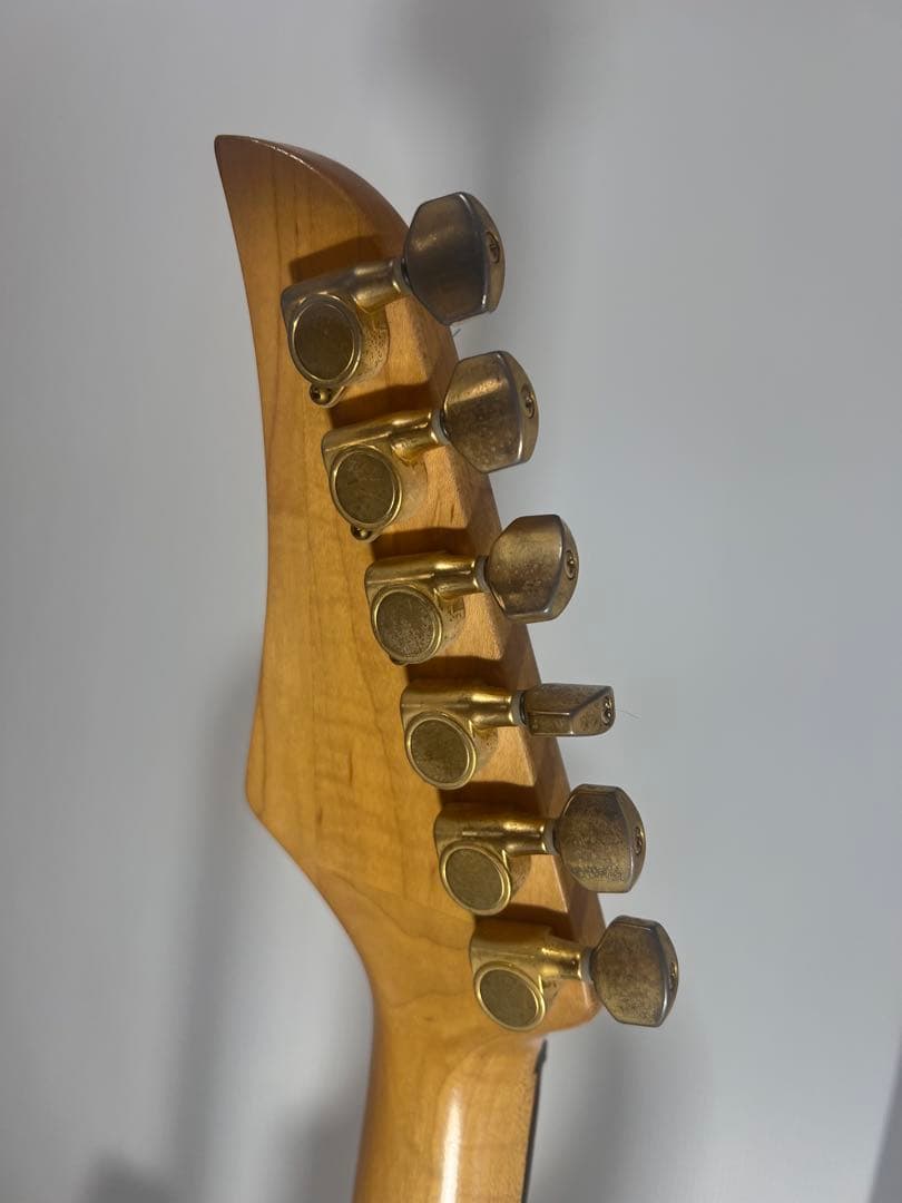 激レア 希少 フォトジェニックストラスキャスター HSH 初期型 ケース付き