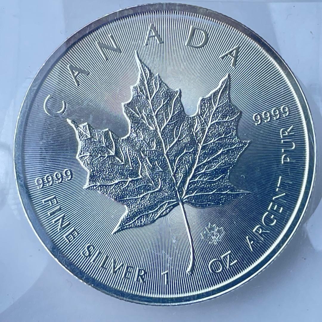  SILVER MAPLE LEAF 1oz 銀貨2014