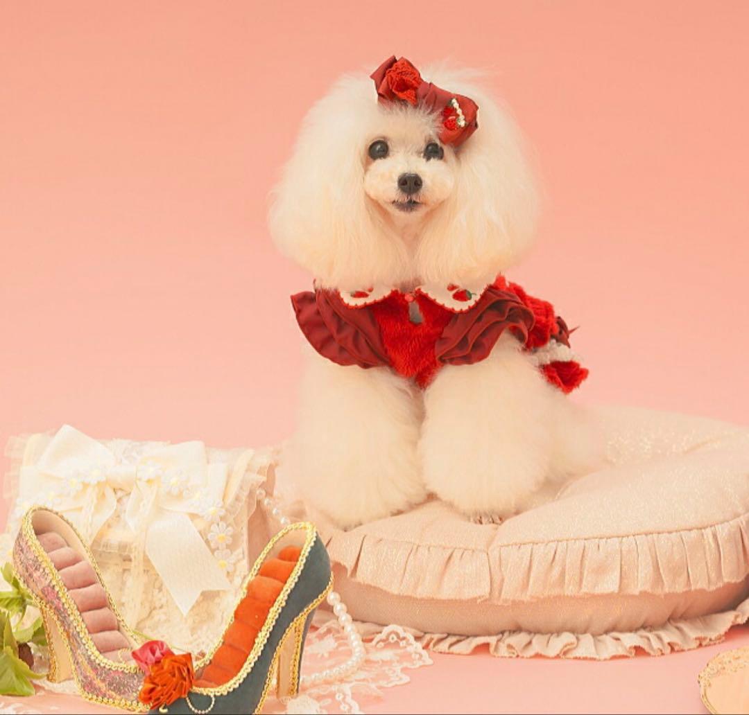 CanNana きゃんナナ　Mサイズ 犬服 ピンク