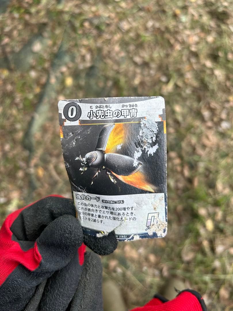 蟲神器　小兜虫の甲冑