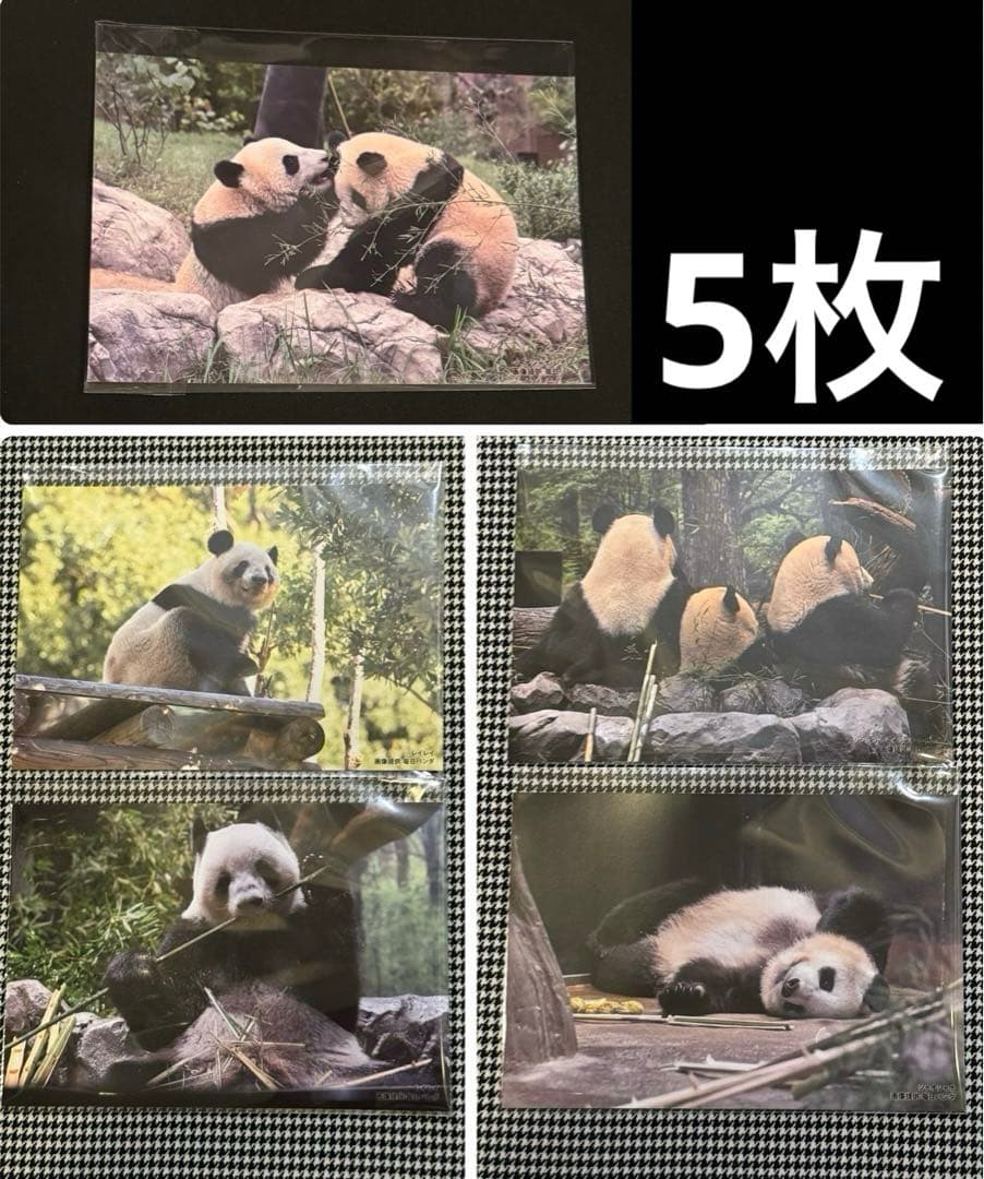 上野松坂屋 毎日パンダさんの双子の思い出 ポストカード 上野動物園 パンダ