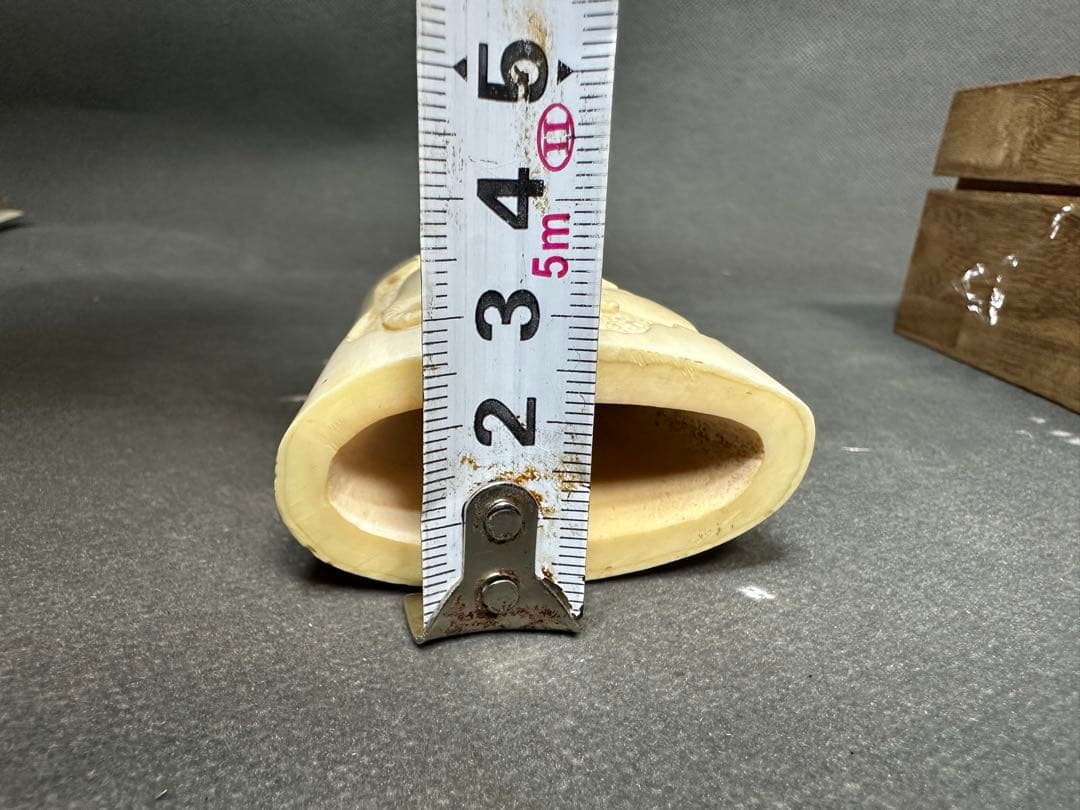 鯨歯　マッコウクジラ　天然素材　アンティーク　骨董　飾り物　古美術品　 置物