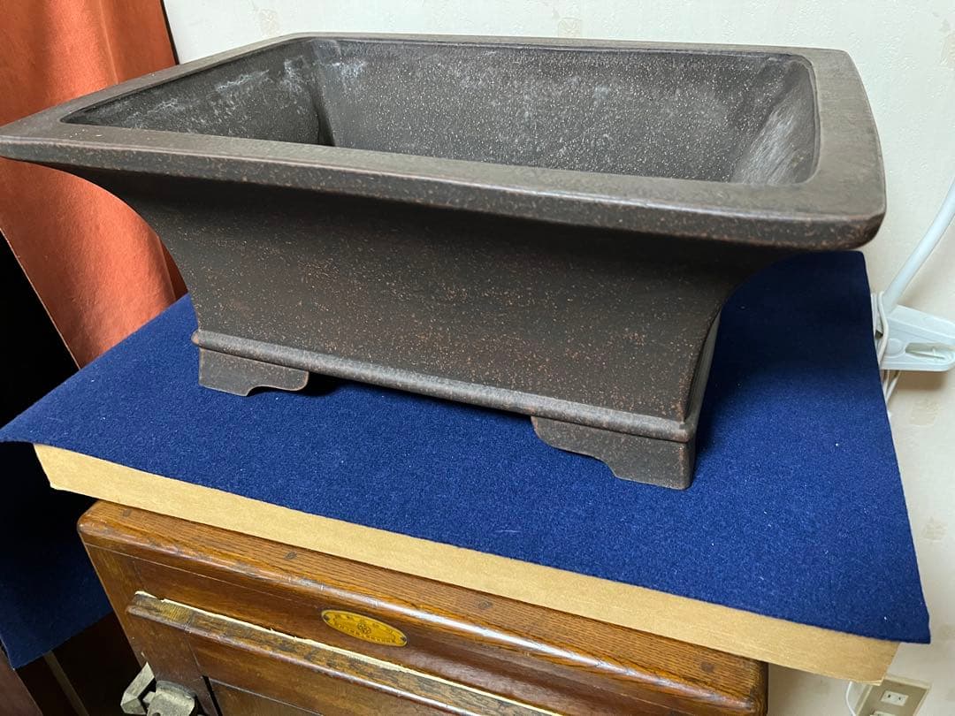 138 盆栽　盆栽鉢　植木鉢　和鉢　銭号