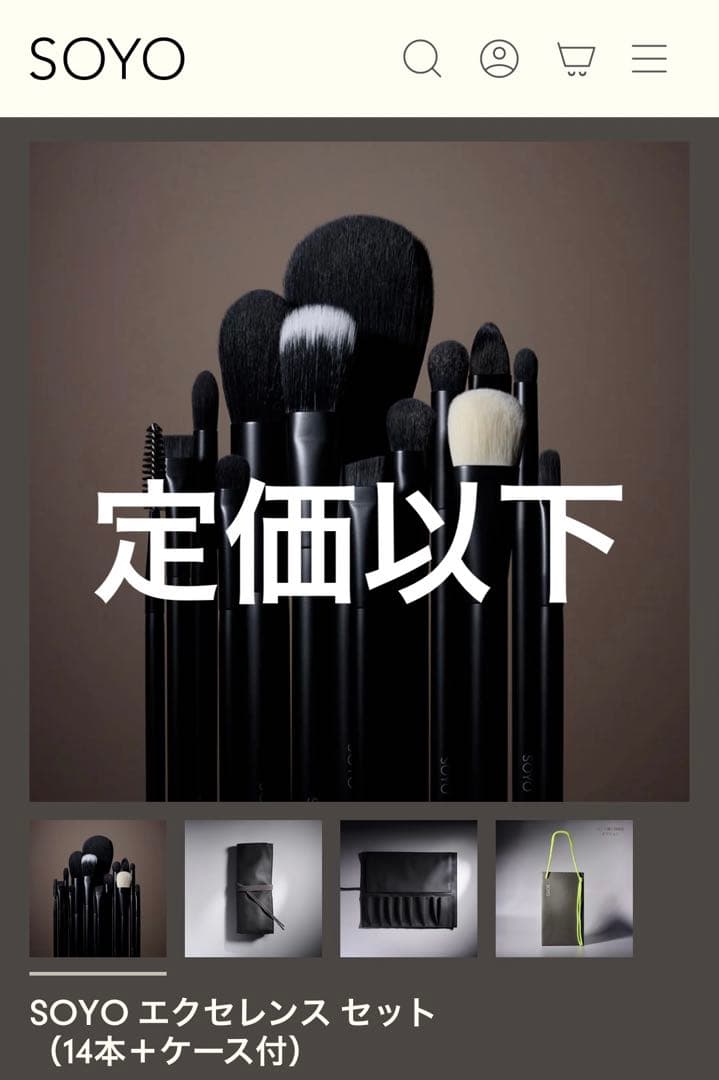 【定価以下】SOYO エクセレンス セット (14本+ケース)