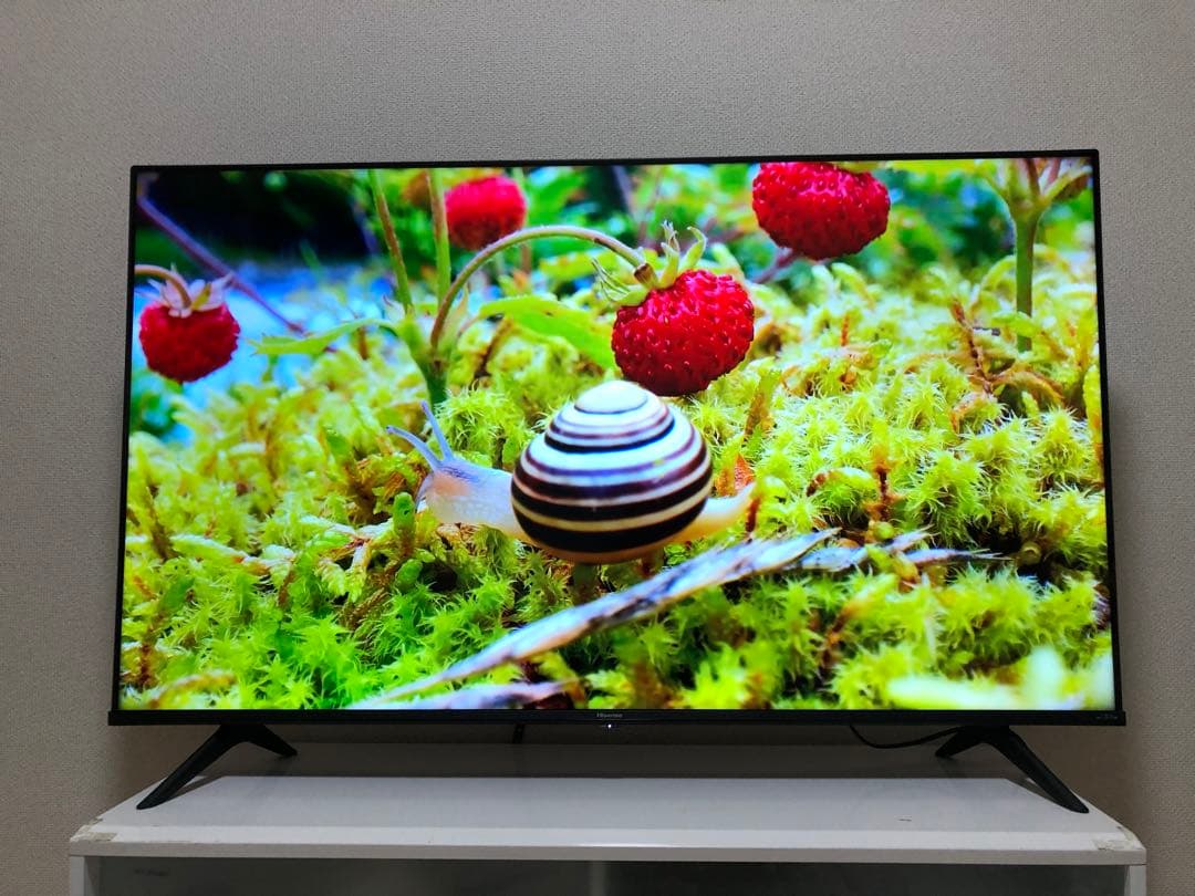 ハイセンス 50V型 液晶テレビ 4Kチューナー内蔵 50E6G 2023年製