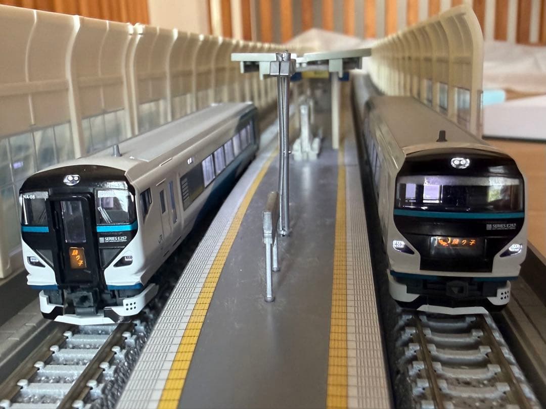 KATO E257系2000番台 踊り子 9両