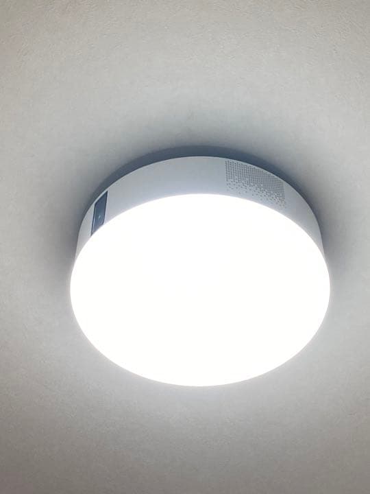 【コトリ】popIn Aladdin ポップインアラジン　初代モデル