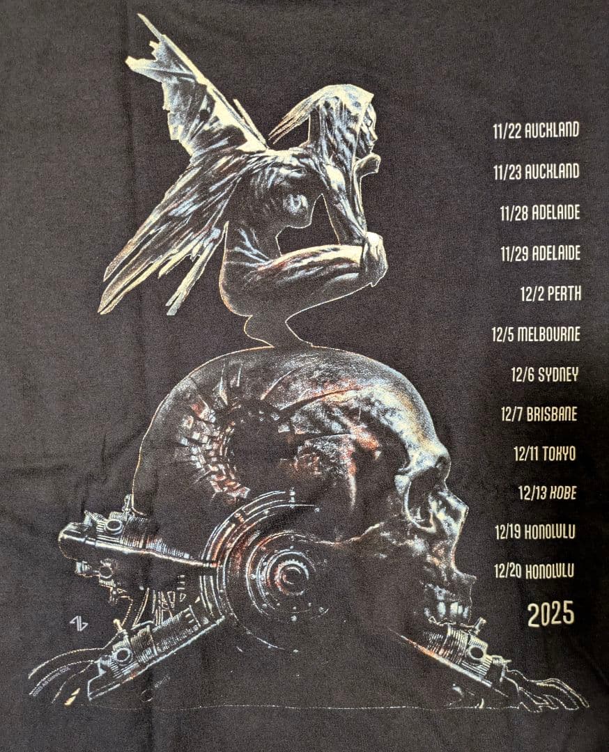 【未着用】TOOL 2025 ツアー Tシャツ Lフライヤー付