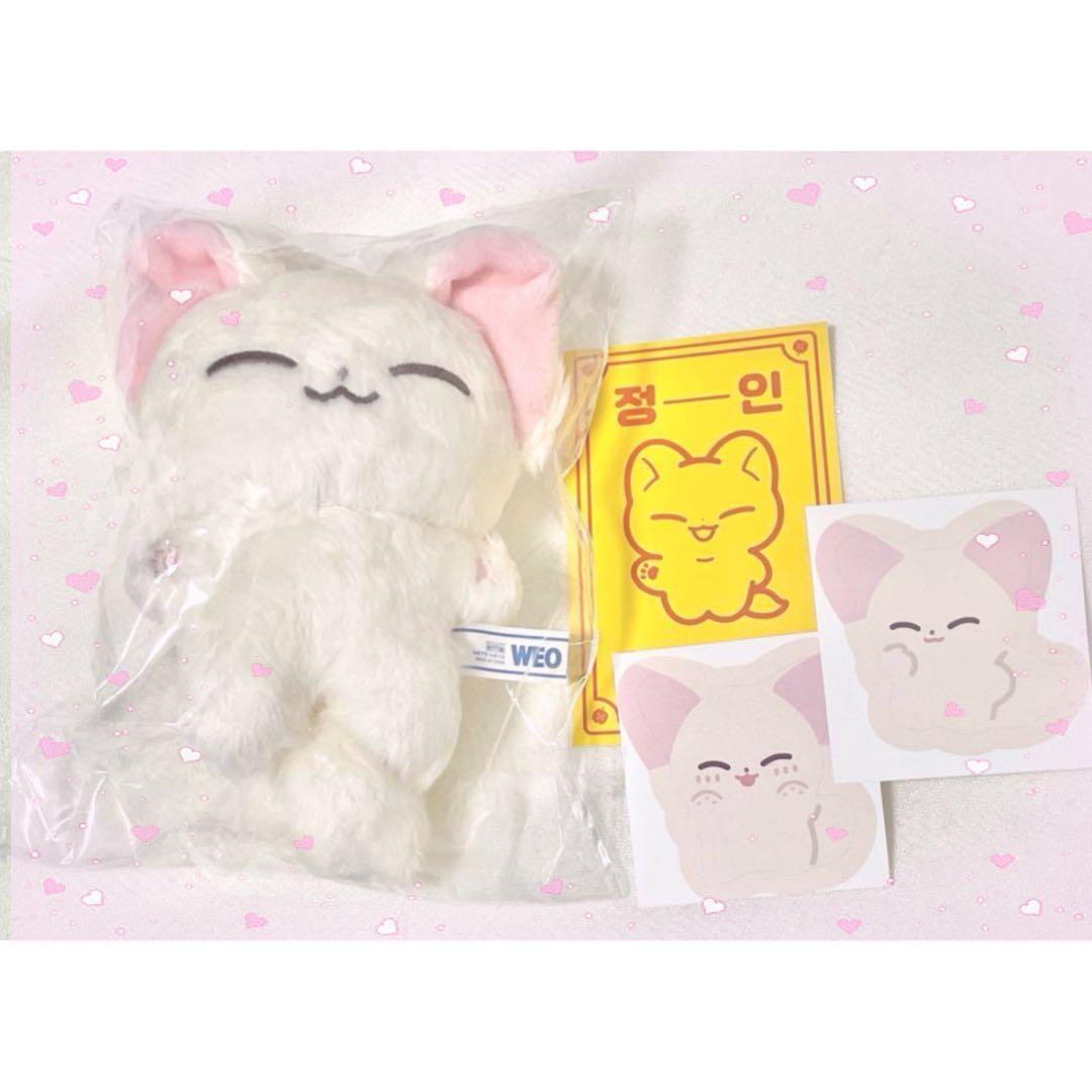 StrayKids アイエン マスター ぬいぐるみ グッズ