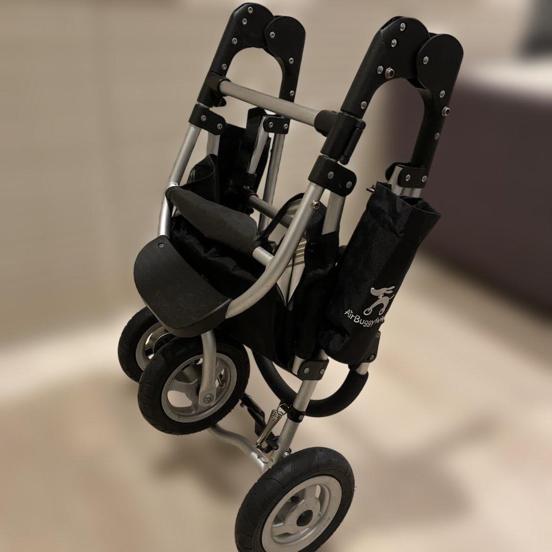 エアバギー　フレーム(ブレーキなし)＋付属品