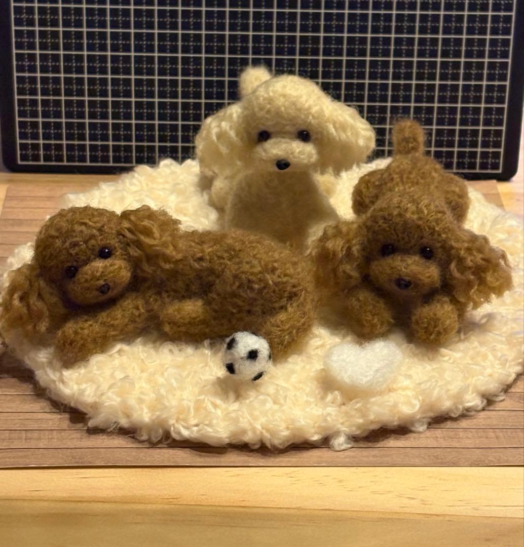 羊毛フェルト 毛糸 トイプードル（遊んだ後のリラックスタイム）❣️