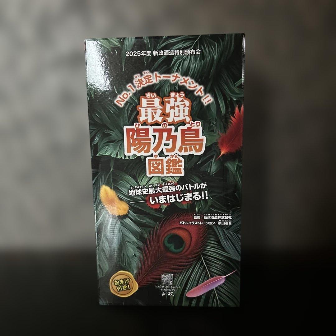 新政頒布会　2025 陽乃鳥　2回戦　希少