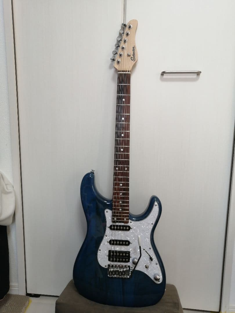 SCHECTER ORIENTAL LINE OL-ST（DBL）