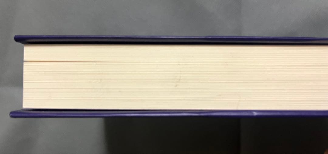 ジャスト・キッズ パティ・スミス　小説