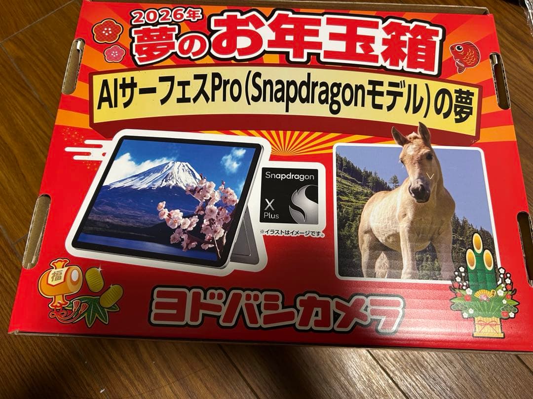 ヨドバシ AIサーフェスPro(Snapdragon)の夢 お年玉箱 福袋