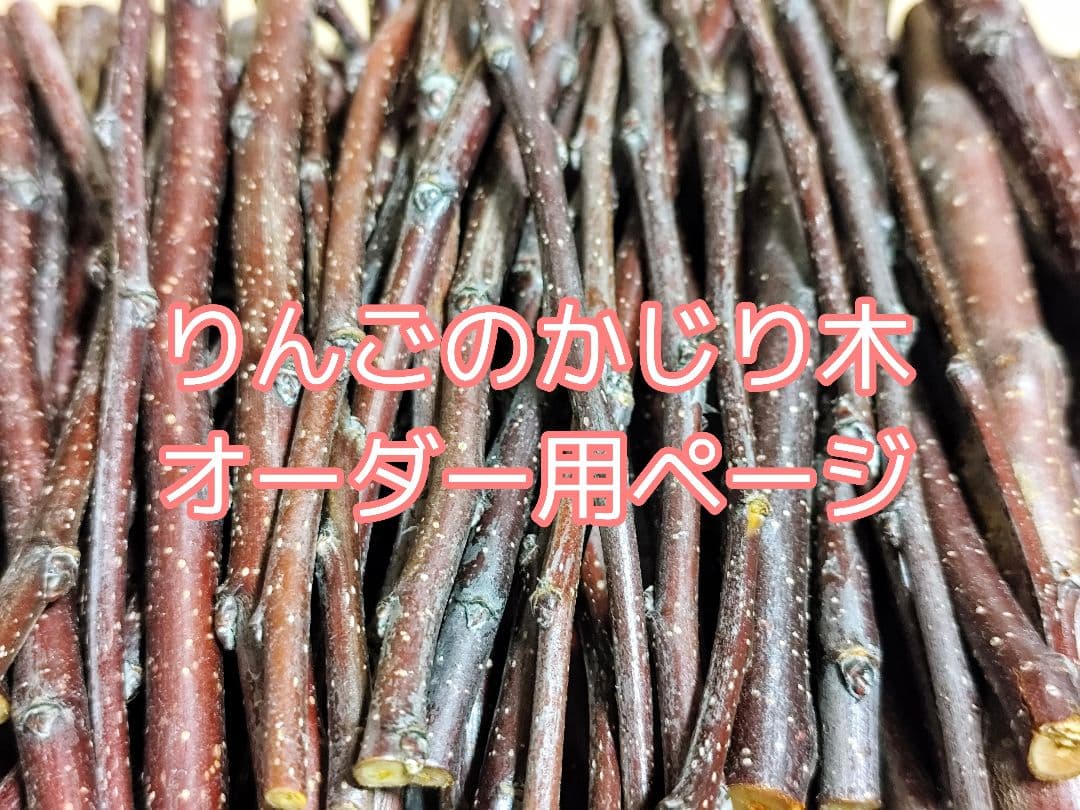 りんごのかじり木　オーダー問い合わせ専門ページ