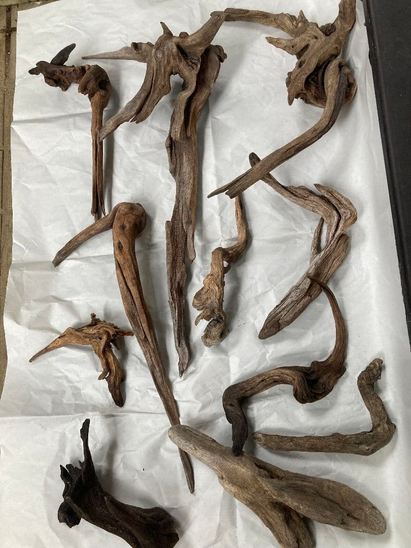 流木 ミディアムサイズ一式