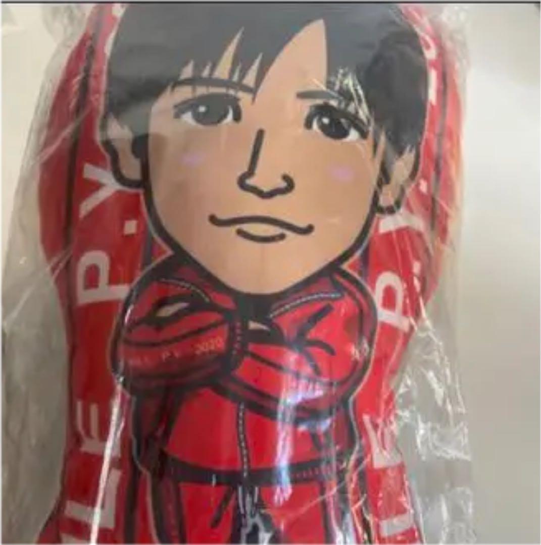 perfect year クッション PY 岩田剛典