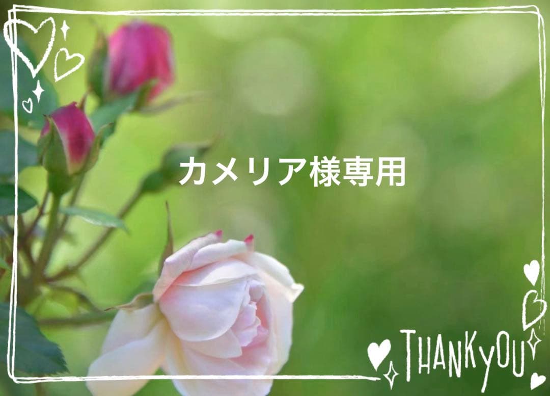 カメリア