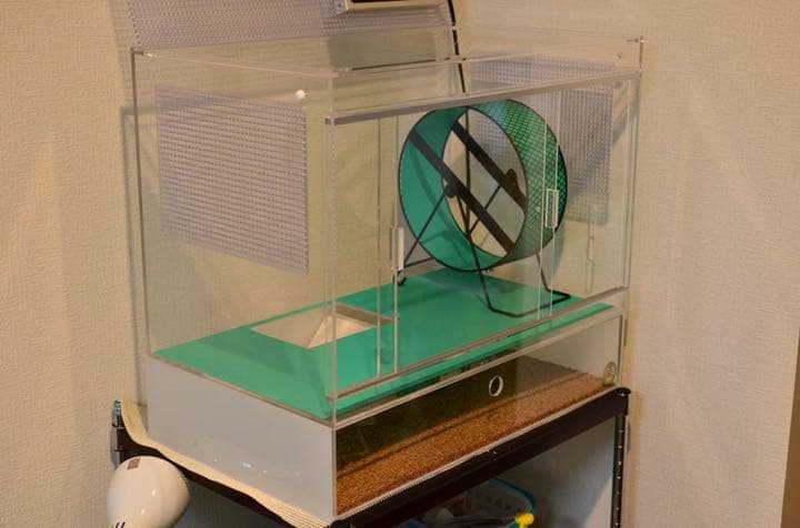 ハリネズミ　アクリル飼育ケージ　その他飼育セット