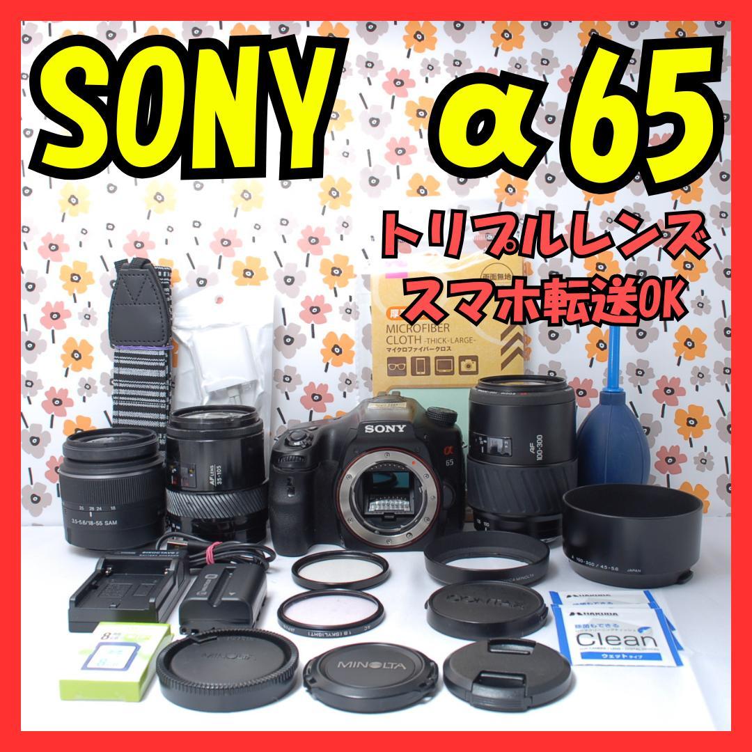 ❤SONY α65❤トリプルレンズ❤超望遠❤超高画質❤1秒10コマの高速連射❤