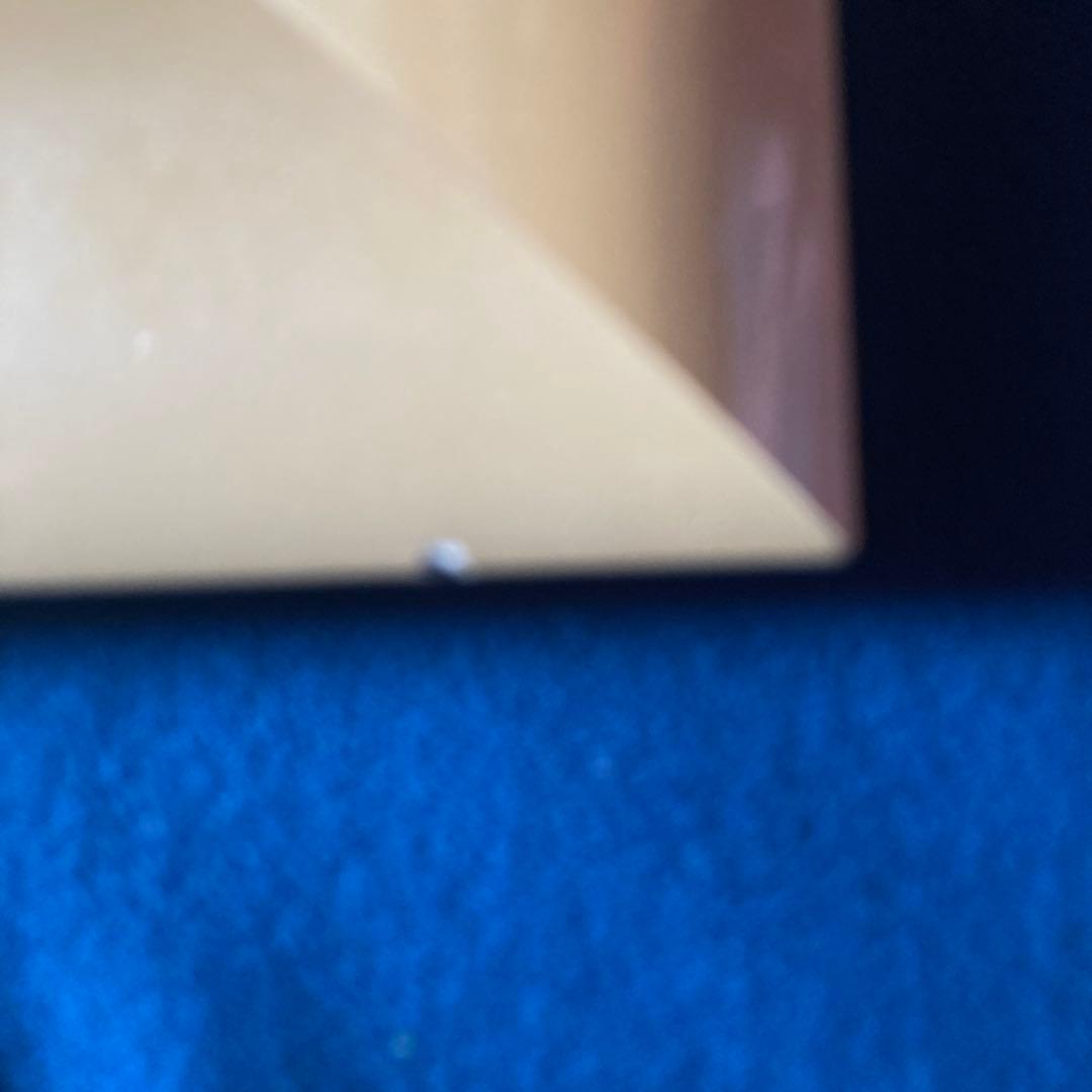 ポールギアマン「夕焼けの乗馬」リト197/200 額69×83 絵40×56cm