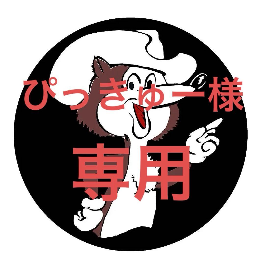 ぴっきゅー（5点）※丸めず発送