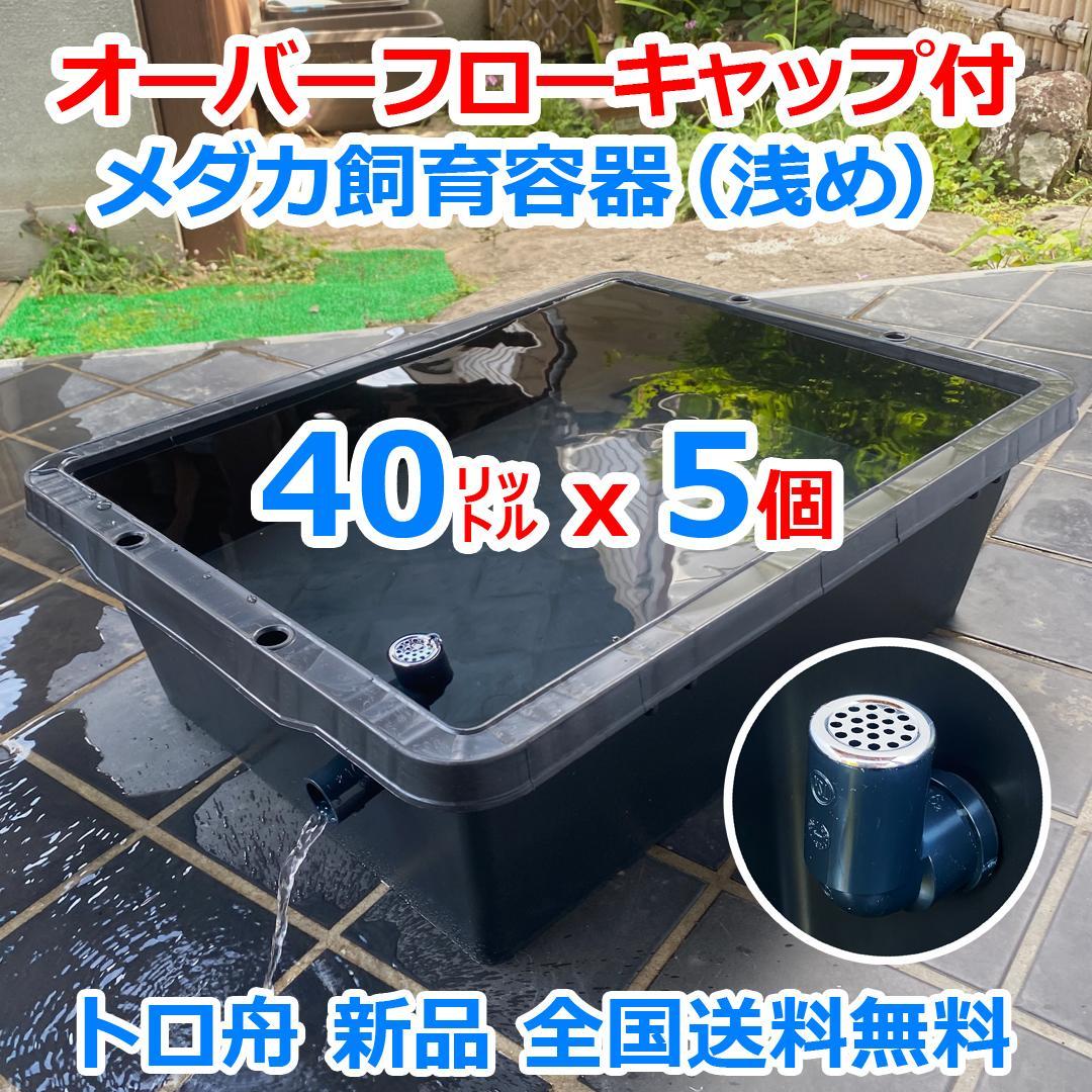 【新仕様】メダカ飼育ケース 40㍑トロ舟x5個 オーバーフロー加工済 金魚飼育容